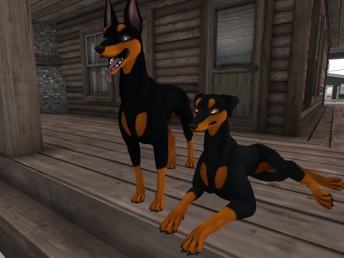 ❤*PP* [M.O.R] Hellhundd: Black Dobi Mod❤