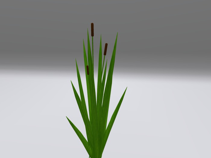 Mesh Water Plant full 3D