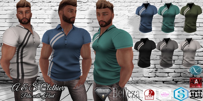 A & S Clothier Stripe Polo with HUD