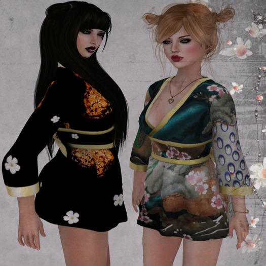 -mL- Makoto kimono - 2 RARE