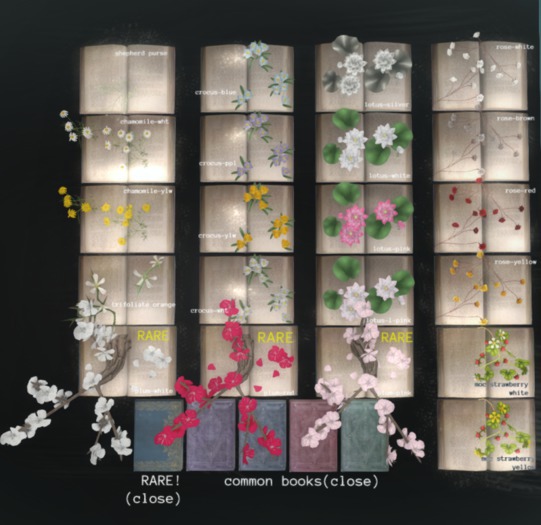 *N*FlowerPixi's Book Crocus wht