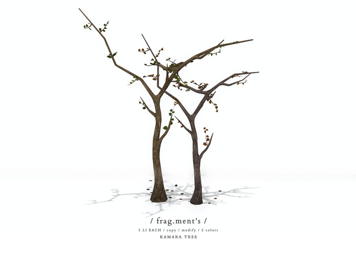 / frag.ment's / Kamara Tree