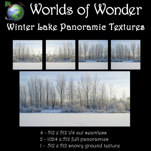 Winter Lake Panoramics