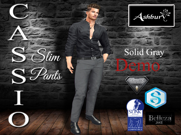 [ASHBURY] Cassio Slim Pants-DEMOS