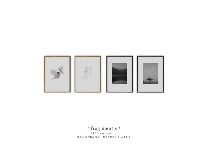/ frag.ment's / Basic Frame
