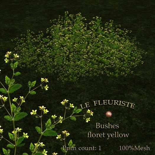 F*BushesFloretYellow