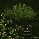 F*BushesFloretYellow