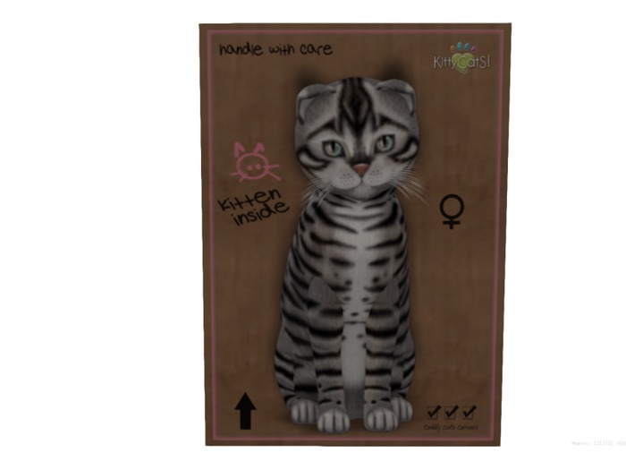 KittyCatS Box - 8 T - F - Toyger - Silver