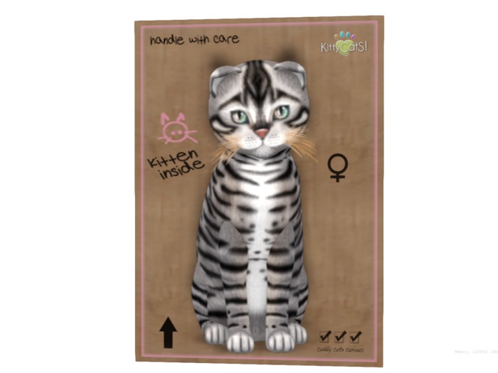 KittyCatS Box - 9 T - F - Toyger - Silver