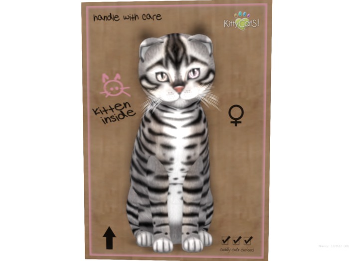 KittyCatS Box - 9 T - F - Toyger - Silver