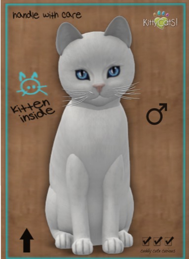 KittyCatS Box - Russian - White