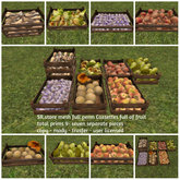 SR.store mesh full perm Cassettes full of fruit