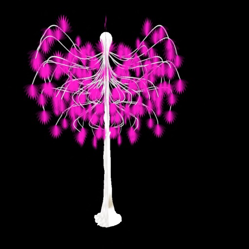 Pinky Paml Tree Boxed
