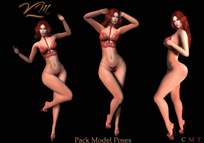 ::VM:: Pack Model poses 02-- Poses + Hud