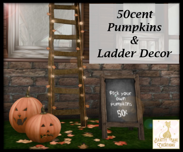 {BLC} 50cent Pumpkins & Ladder Decor