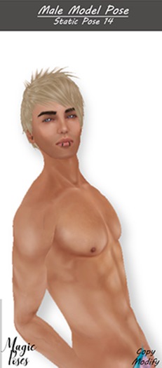 Magic Poses-Male Model Pose-14