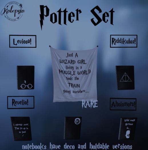Kalopsia - Potter Notebook - Platform (deco)