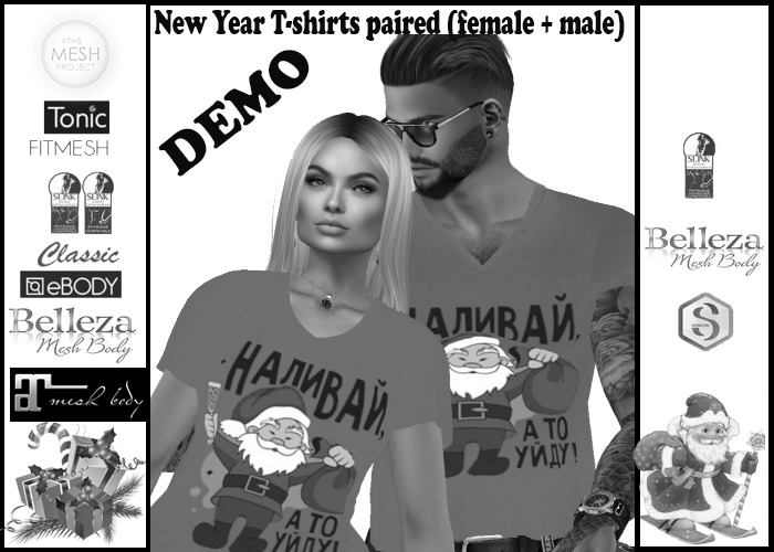 DemoNew Year T-shirts paired (female + male) # 4