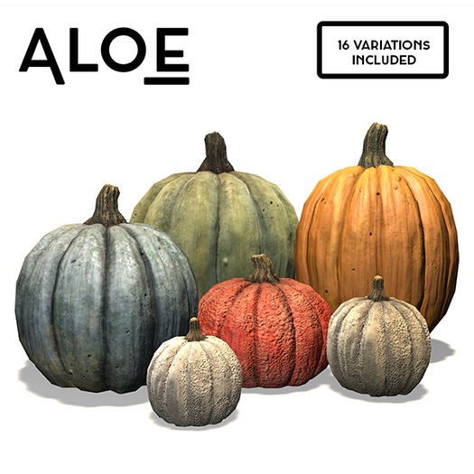 Aloe - Pumpkins