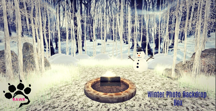 RAWR Winter Photo Backdrop Box