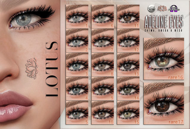 LOTUS. Adeline Eyes 14 BOX