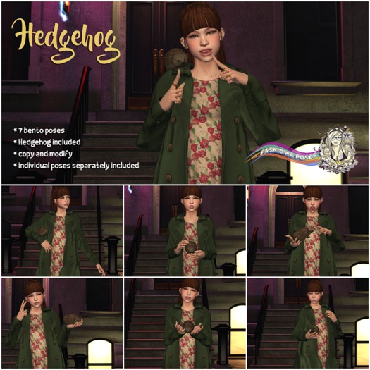 Fashiowl Poses - Hedgehog // BOX