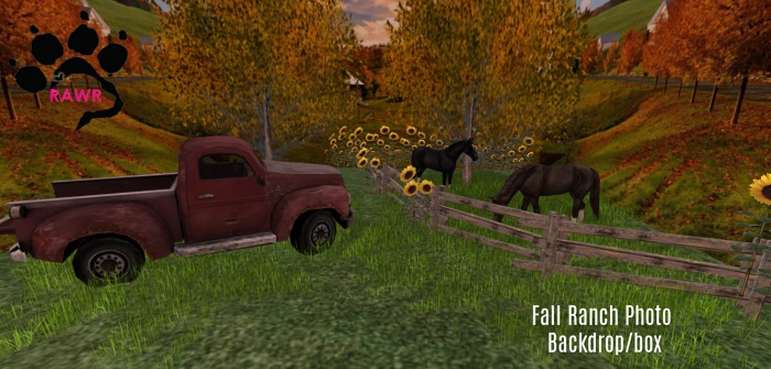 Rawr Country Ranch Photo Backdrop/box