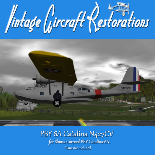PAINT SC PBY 6a - N427CV SA