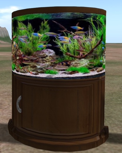 Bowfront aquarium
