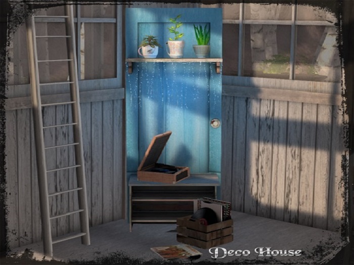 Old Door With Shelves