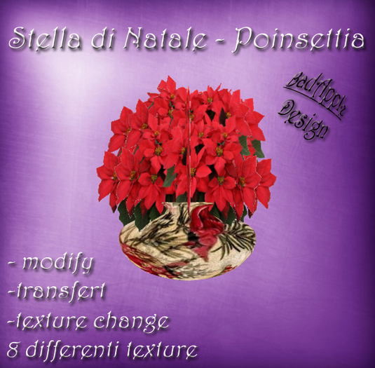 Stella di Natale - Poinsettia - VENDOR