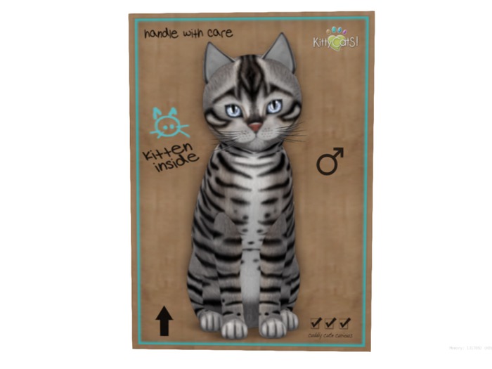 KittyCatS Box - 9 T - M - Toyger - Silver