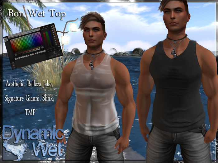 ::SA:: BON WET Top Color Hud