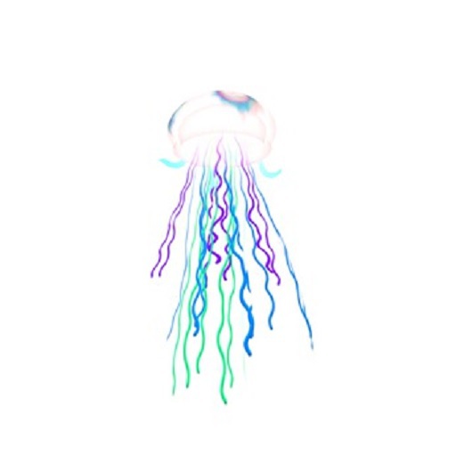 Uncommon Fish: Multicolor Jellyfish