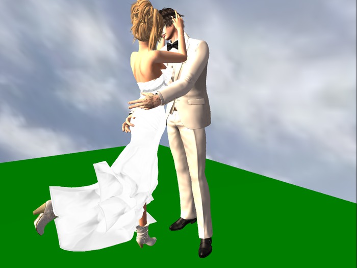 Princess Diaries Kiss Couple Pose (box)