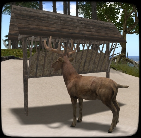 [GG] Wild Animal Feeder with Deer Boxed