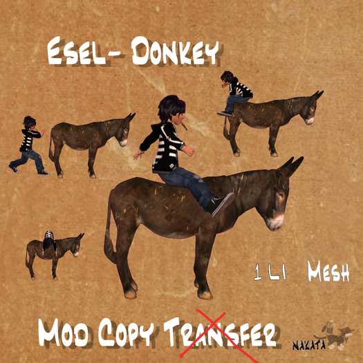 Esel Donkey boxed
