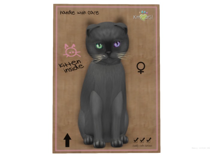 KittyCatS Box - 9 T - F - Burmese - Blue