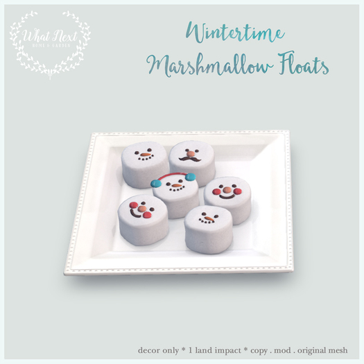 {what next} Wintertime Marshmallow Floats (boxed)