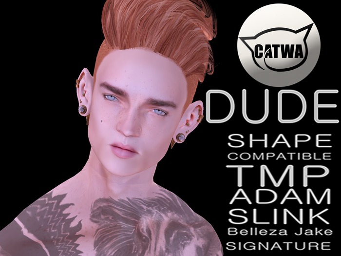 .:[LS]:. Shape Lorenzo [CATWA DUDE]
