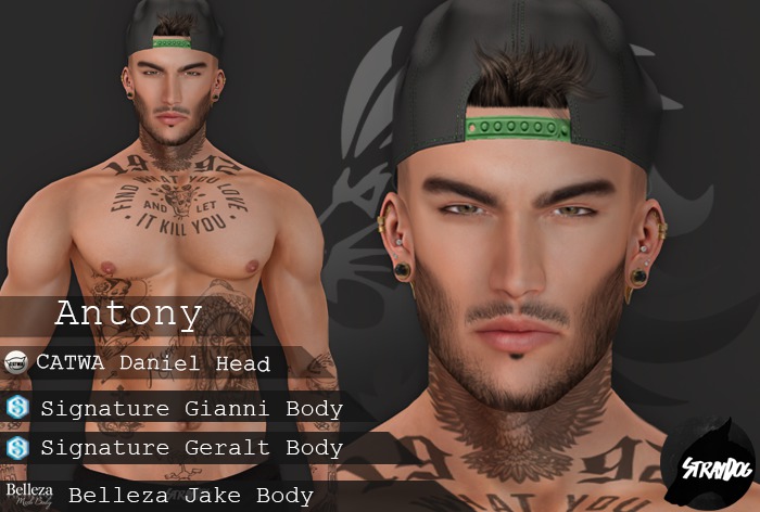 Antony Shape (Signature / Belleza & CATWA Daniel)