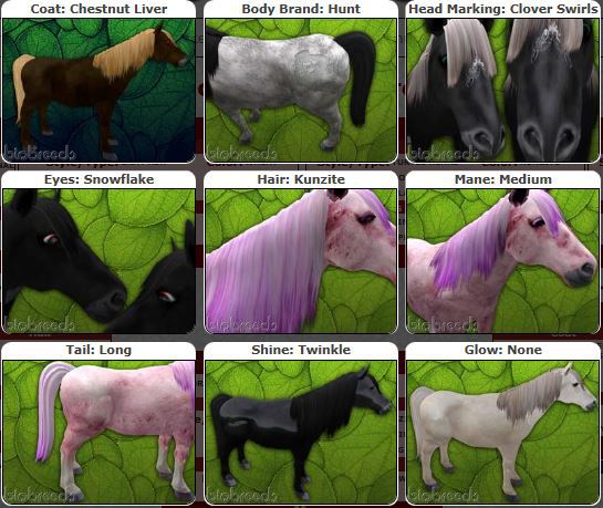 BB Horse M Box