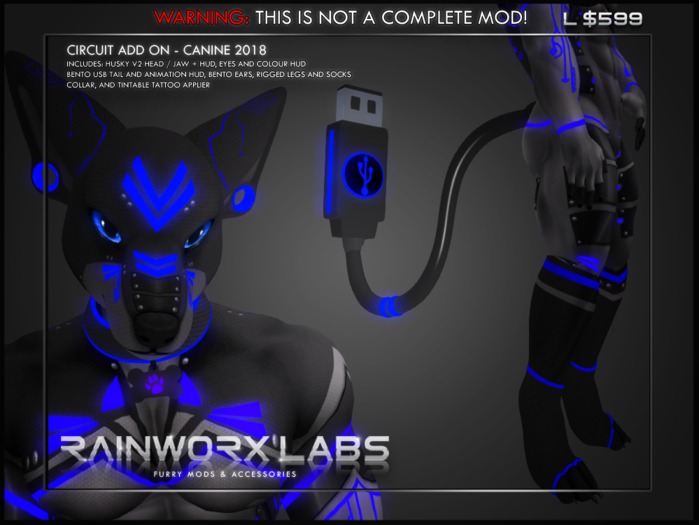 [RL] AESTHETIC - CIRCUIT ADD ON - CANINE 2018 - BLUE