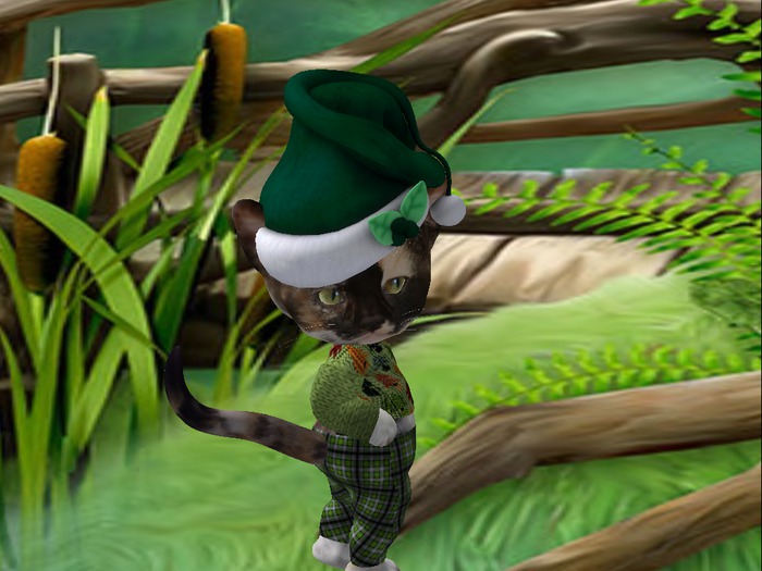 Santa Hat Long Green