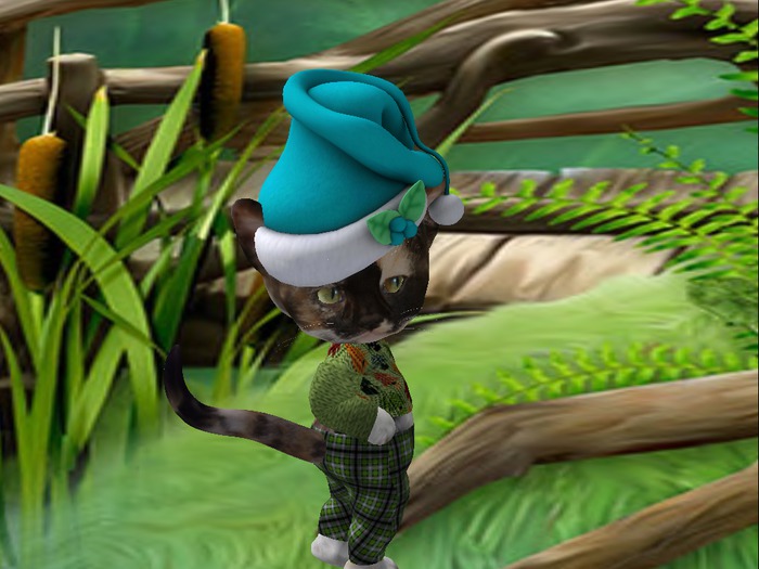 Santa Hat Long Teal
