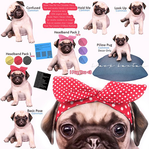 *[Black Bantam] Look Up Pug