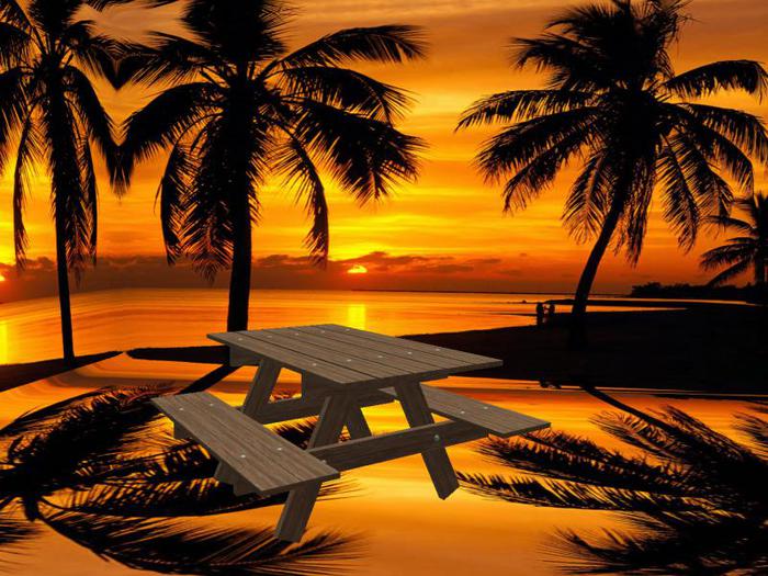 Picknick Table