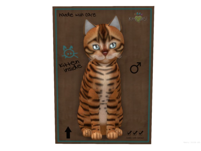 KittyCatS Box - 9 T - M - Toyger - Caramel