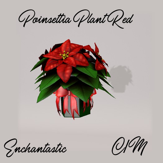 {ENT} Poinsettia Plant Red
