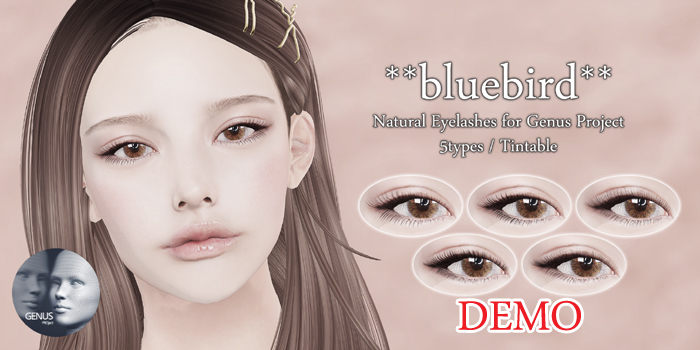 DEMO **bluebird** Natural Eyelashes for Genus Project